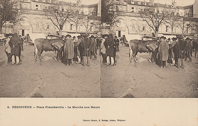 6. PERIGUEUX - PLACE FRANCHEVILLE - LE MARCHE AUX BOEUFS