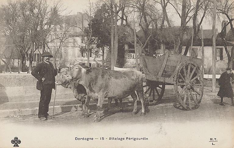 DORDOGNE - 15 - ATTELAGE PERIGOURDIN