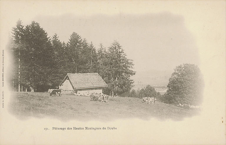 151. PATURAGE DES HAUTES MONTAGNES DU DOUBS