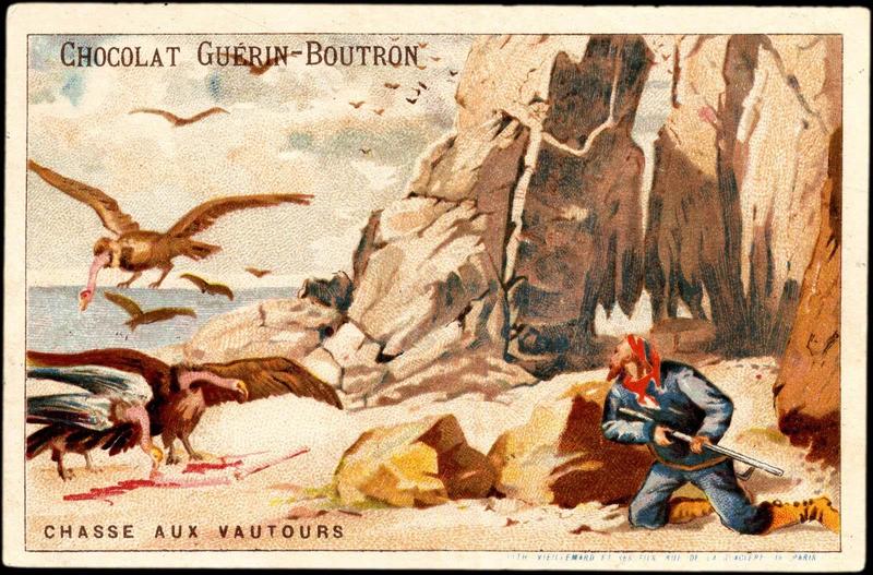 CHASSE AUX VAUTOURS (titre inscrit)