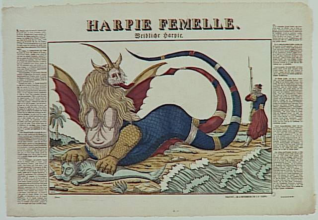 HARPIE FEMELLE. / WEIBLICHE HARPIE (titre inscrit)