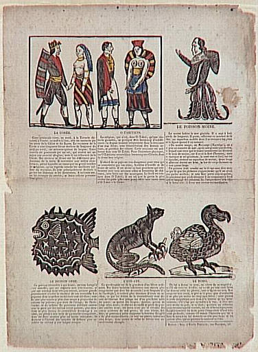 LA COREE ; O-TAHITIENS ; LE POISSON-MOINE. / LE DIODON ORBE ; L'AYE-AYE ; LE DODO (titre inscrit)