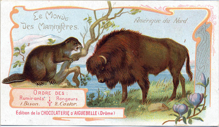 Le Monde des Mammifères (titre inscrit)