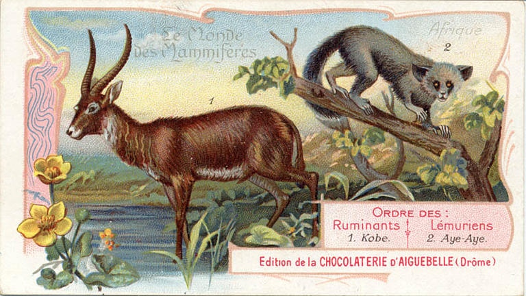 Le Monde des Mammifères (titre inscrit)