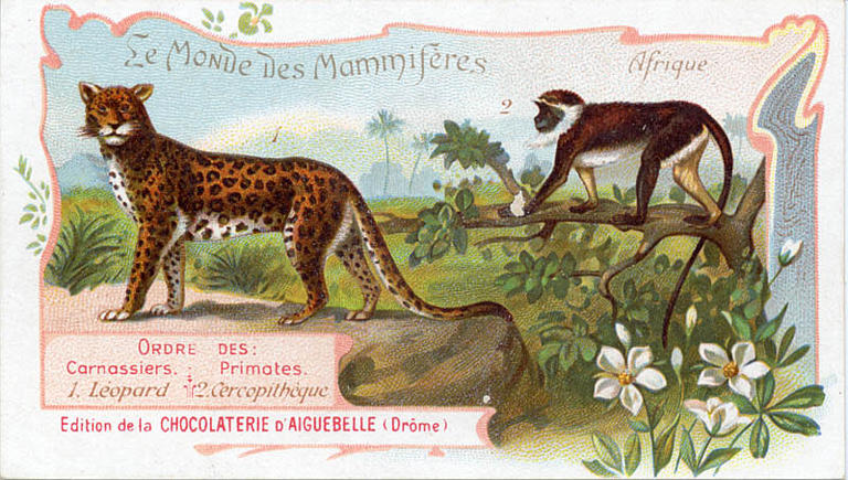 Le Monde des Mammifères (titre inscrit)