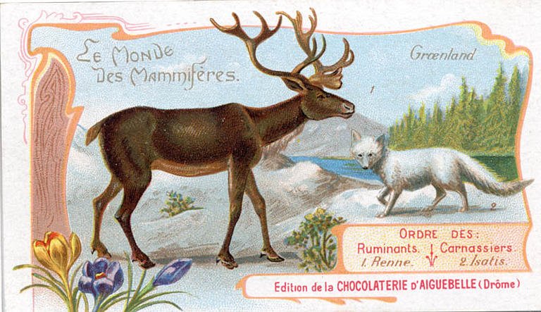 Le Monde des Mammifères (titre inscrit)
