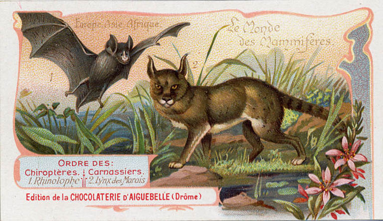 Le Monde des Mammifères (titre inscrit)