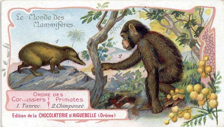 Le Monde des Mammifères (titre inscrit)