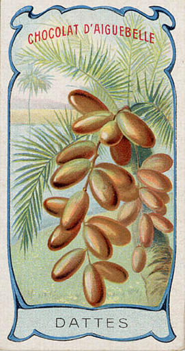 DATTES (titre inscrit)