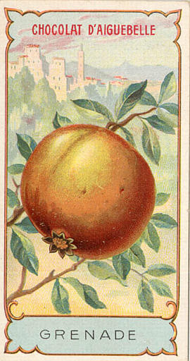 GRENADE (titre inscrit)