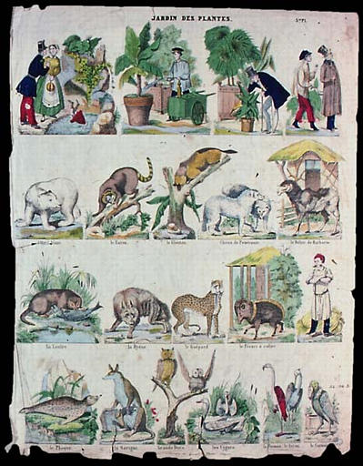 JARDIN DES PLANTES. (titre inscrit)