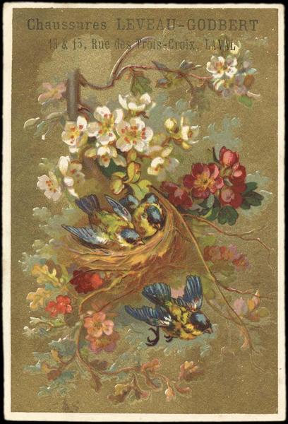 Nid dans les fleurs (titre factice)