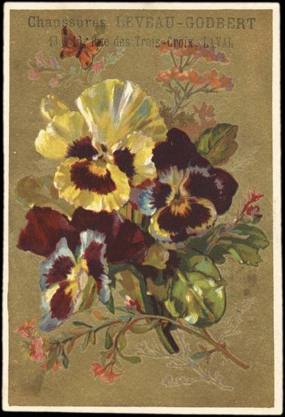 Pensées (titre factice)