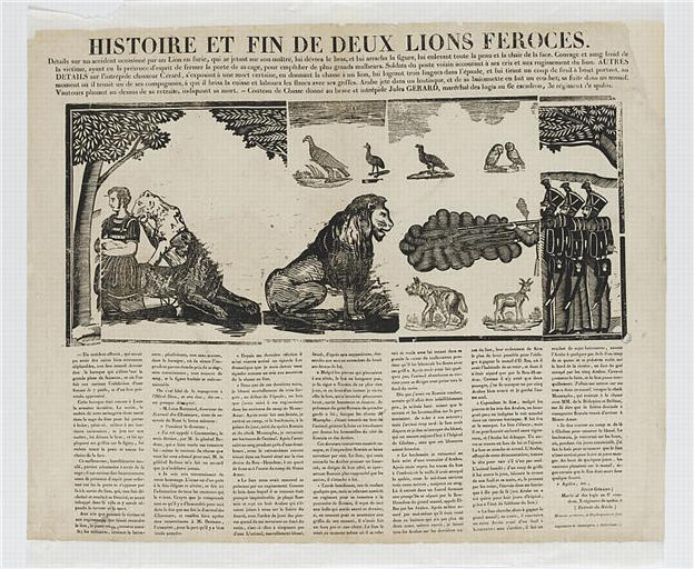 HISTOIRE ET FIN DE DEUX LIONS FEROCES (titre inscrit)