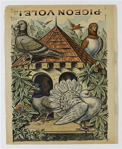 PIGEON VOLE ! (titre inscrit)