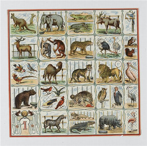 Animaux exotiques en cage (titre factice)