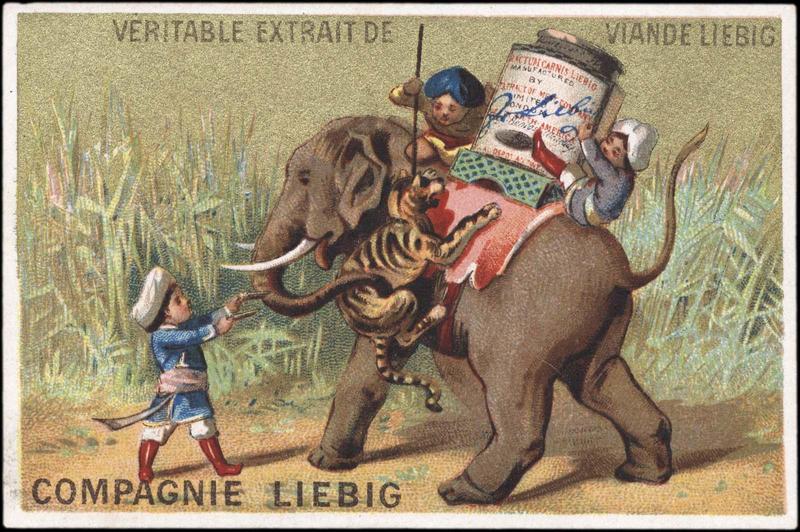 Un tigre attaque un éléphant qui porte des indiens et une boîte de Liebig (titre factice)