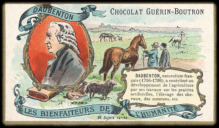 LES BIENFAITEURS DE L'HUMANITÉ ; DAUBENTON (titre inscrit)