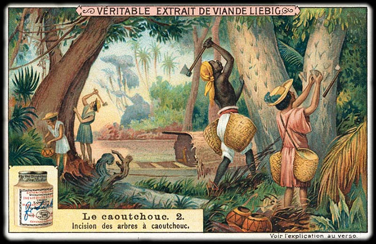 Le caoutchouc. 2 (titre inscrit)