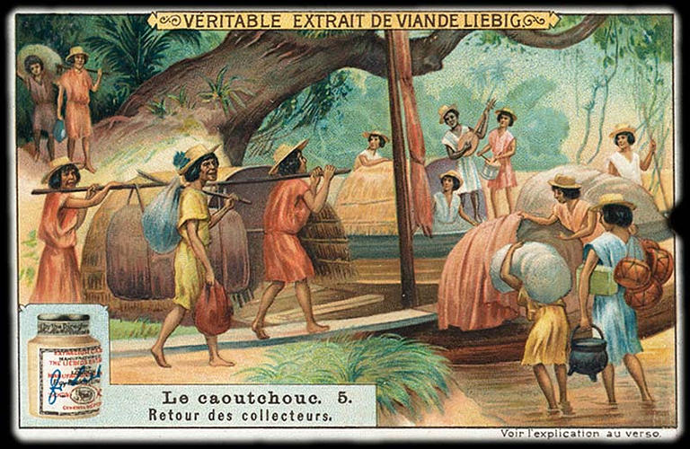 Le caoutchouc. 5 (titre inscrit)