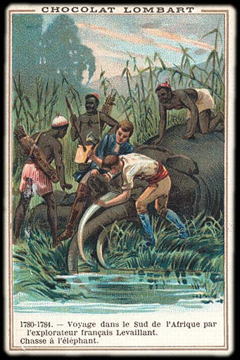 1780-1784. - Voyage dans le Sud de l'Afrique par / l'explorateur français Levaillant. / Chasse à l'éléphant (titre inscrit)