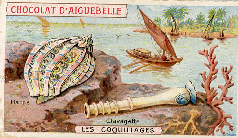 LES COQUILLAGES / Harpe / Clavagette (titre inscrit)