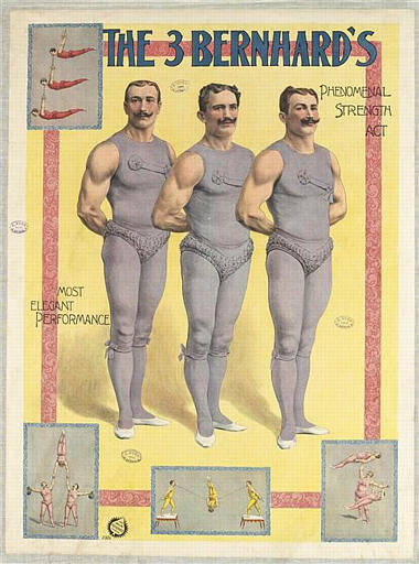 THE 3 BERNARD'S (titre inscrit, anglais)