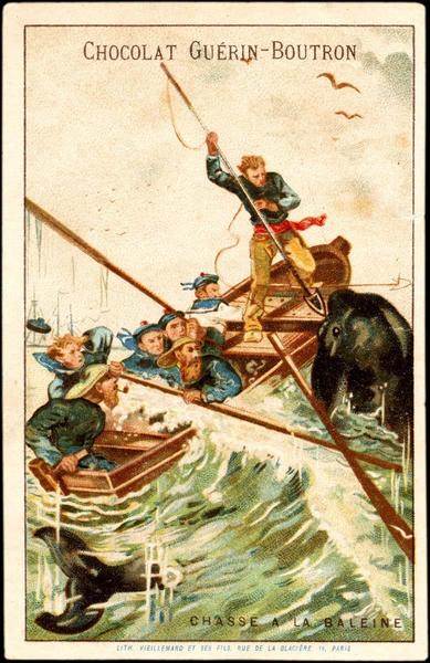 CHASSE A LA BALEINE (titre inscrit)
