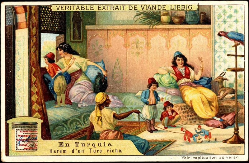EN TURQUIE / Harem d'un turc riche (titre inscrit)