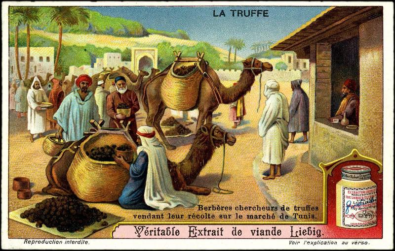 LA TRUFFE (titre inscrit)