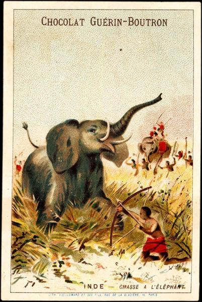 INDE - CHASSE A L'ELEPHANT (titre inscrit)