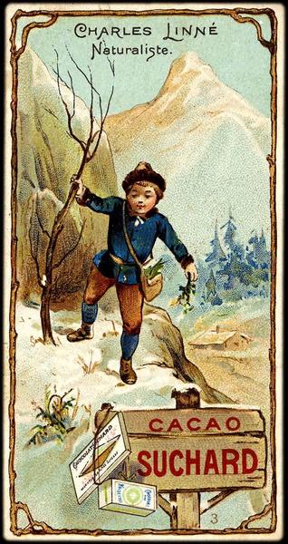 CHARLES LINNE / Naturaliste (titre inscrit)