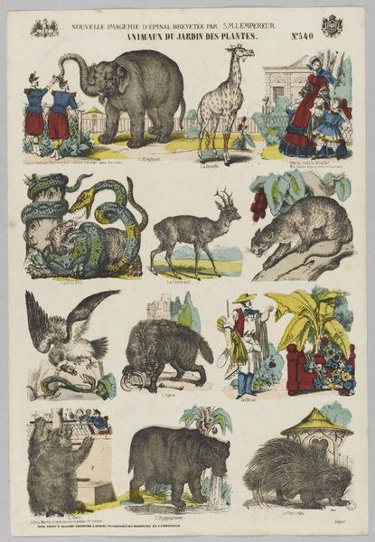 ANIMAUX DU JARDIN DES PLANTES (titre inscrit)