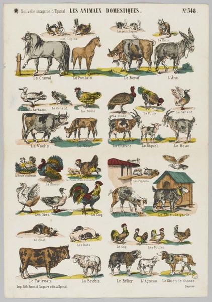 LES ANIMAUX DOMESTIQUES (titre inscrit)