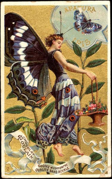 APATURA / IRIS (titre inscrit)