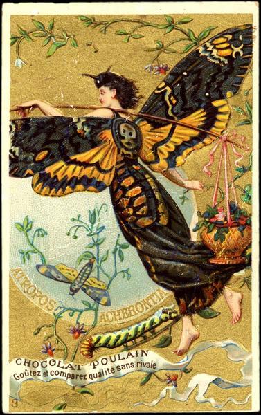 ATROPOS ACHERONTA (titre inscrit)