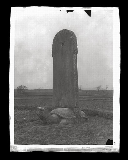 [Jiangsu]. Région de Nankin [Nanjing], Ki-lin men [sic], allée funéraire de Hiao Hong [Xiao Hong] (mort en 527 ap. J.-C.), stèle et tortue