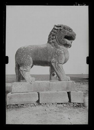 Shaanxi. Xianyang, Shunling, sépulture élevée par l'impératrice Wu (dynastie Tang) en l'honneur de sa mère, groupe Sud, lion de droite, vu de profil, côté droit