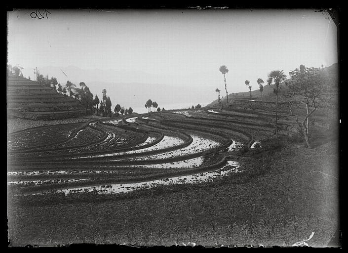 Chongqing. Mudong, rizières