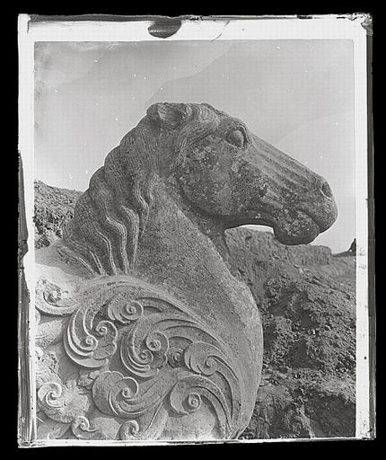 [Shaanxi] Chàn-si. K'ien tcheou [Qianzhou], sépulture de T'ang Kao-tsong [Tang Gaozong] (mort en 683 ap. J. -C.), la licorne de marbre déterrée par la mission, détail de la tête et du poitrail