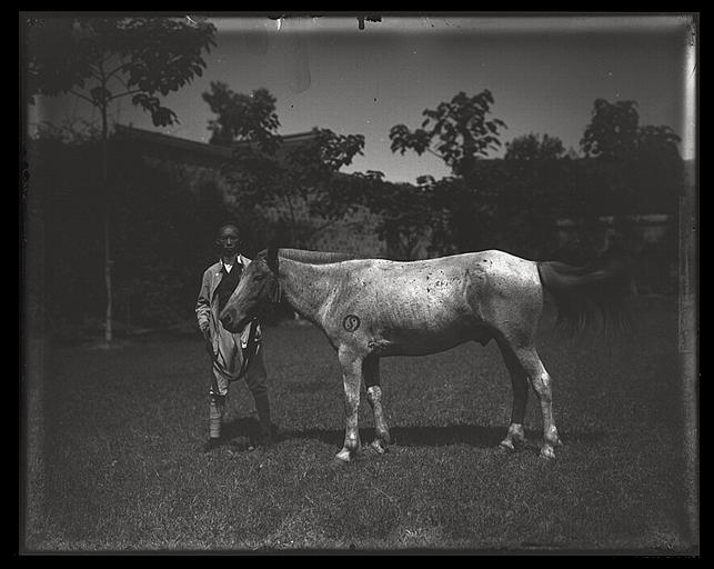 Sichuan. Chengdu, cheval de la mission, Antoine