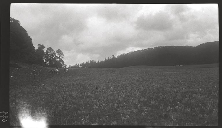 [Yunnan]. De T'ai-fang [Taifang] à Ying-p'an [Yingpan], la prairie d'edelweiss