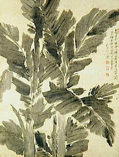 Feuilles de bananier