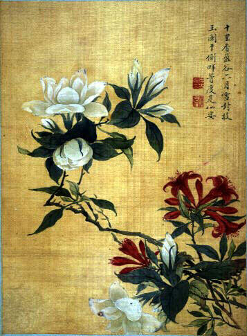 Fleurs et insectes
