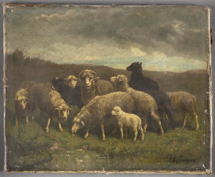 Moutons à l'approche de l'orage