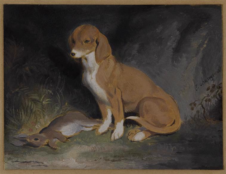 Chien gardant un lapin mort