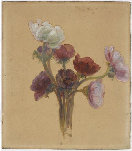 Anémones en bouquet