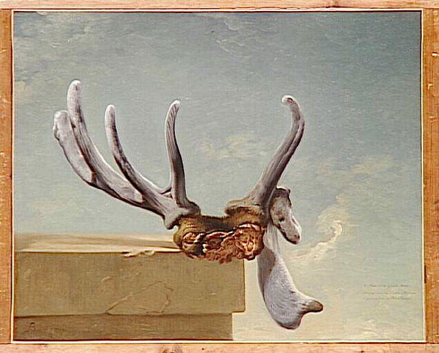 Bois de cerf attaqué dans les tailles d'Epernon et pris le 2 juin 1764