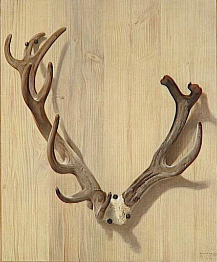 Bois de cerf attaqué à la Haute-Queue, le 5 Juillet 1764, à Compiègne