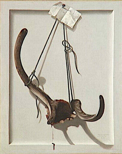 Bois de cerf chassé par le Roi à Saint-Hubert le 10 Juin 1767